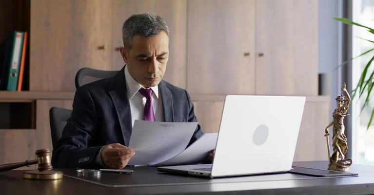 Financial Professional looking at documents